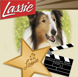 Photo courtesy of Lassie.com